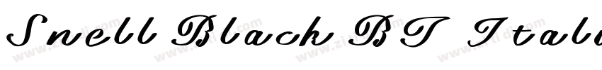 Snell Black BT Itali字体转换